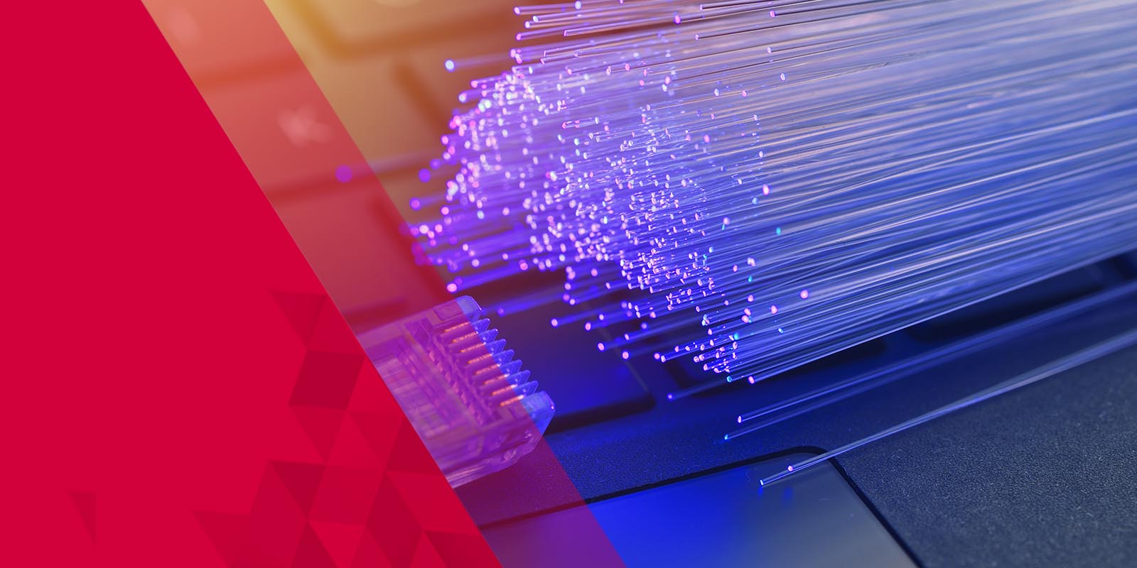 Last Mile Active Network Fiber Optics